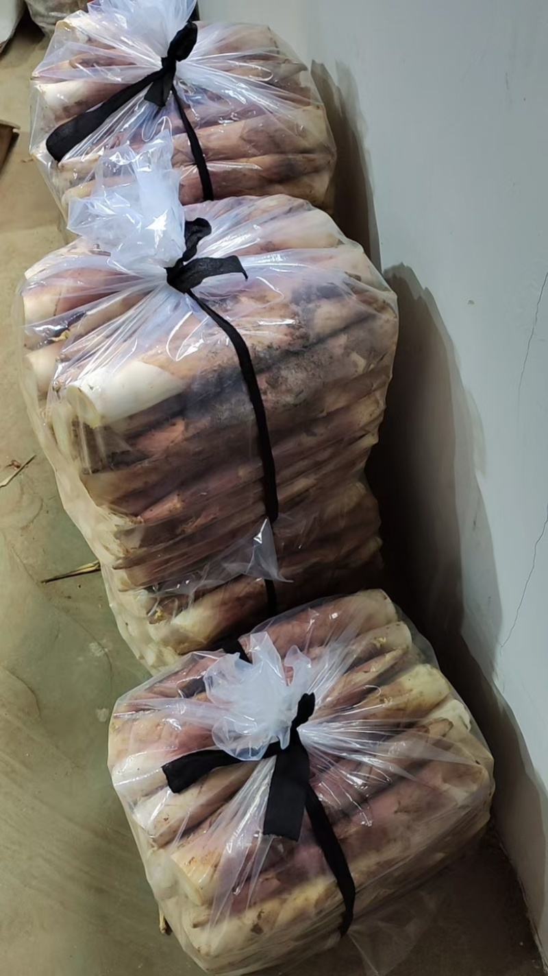 八月秋笋，现在正式上市质量好，鲜嫩可口
