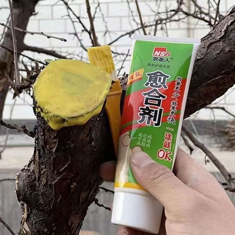 植物伤口愈合膏苗木嫁接杀菌愈合剂果树大树桩涂补防腐盆景封