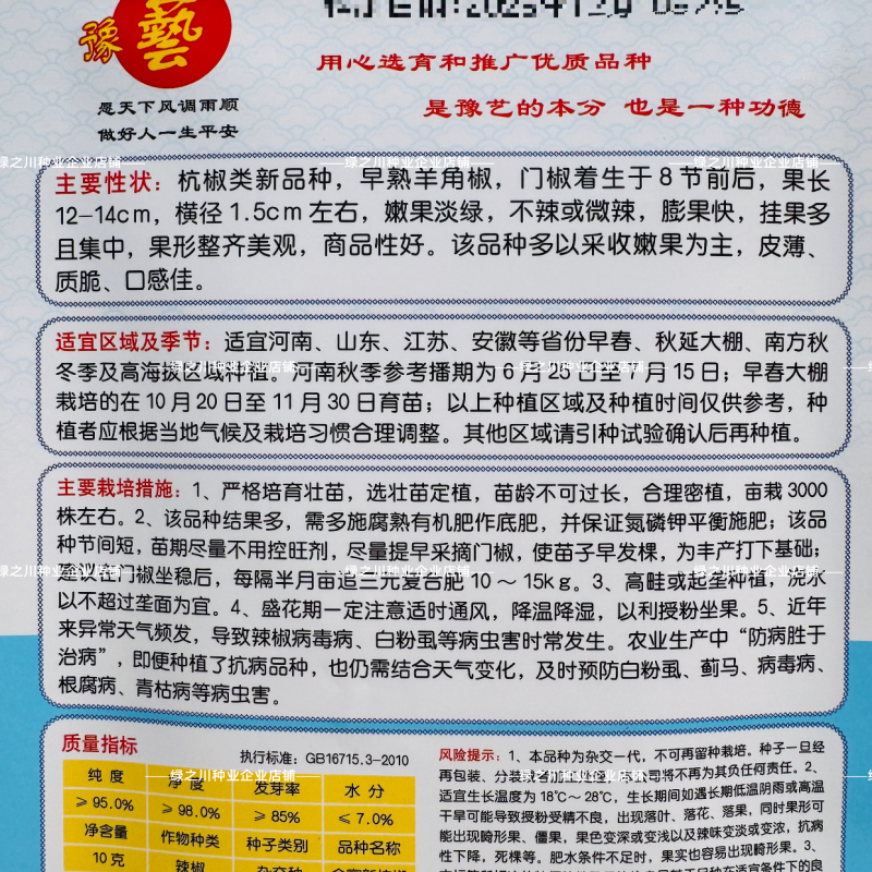 豫艺金富新杭椒种子新品种羊角椒种子皮薄质脆不辣或微辣杭椒