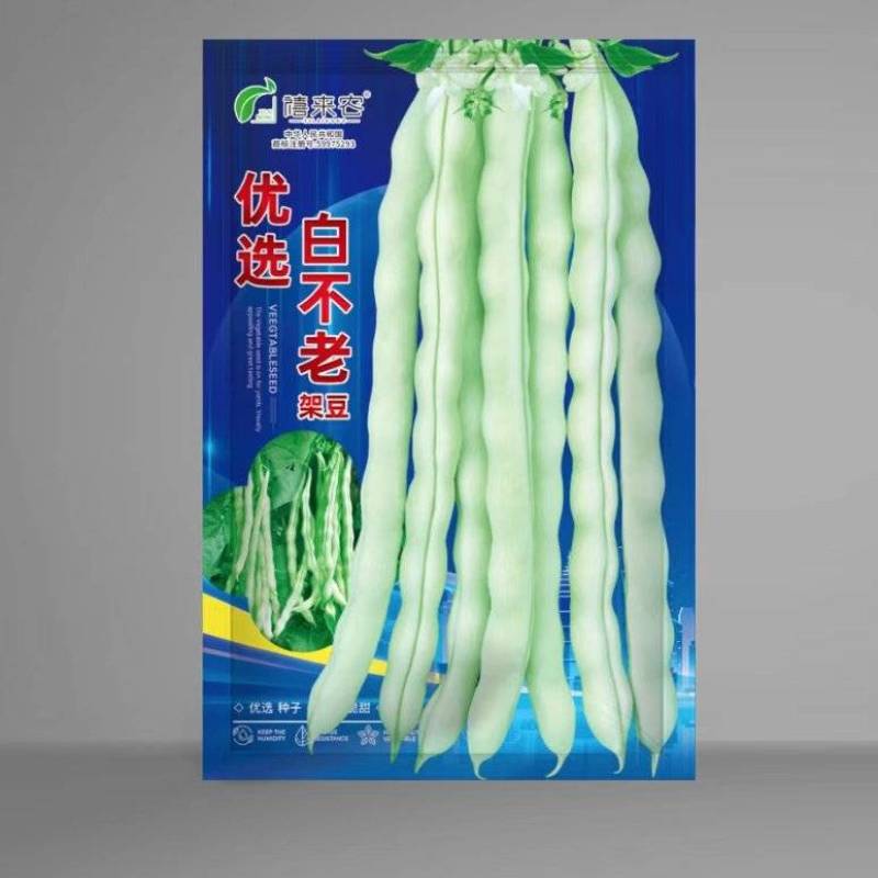 白不老架豆种子早熟蔓生嫩荚白绿色荚长30左右商品性好
