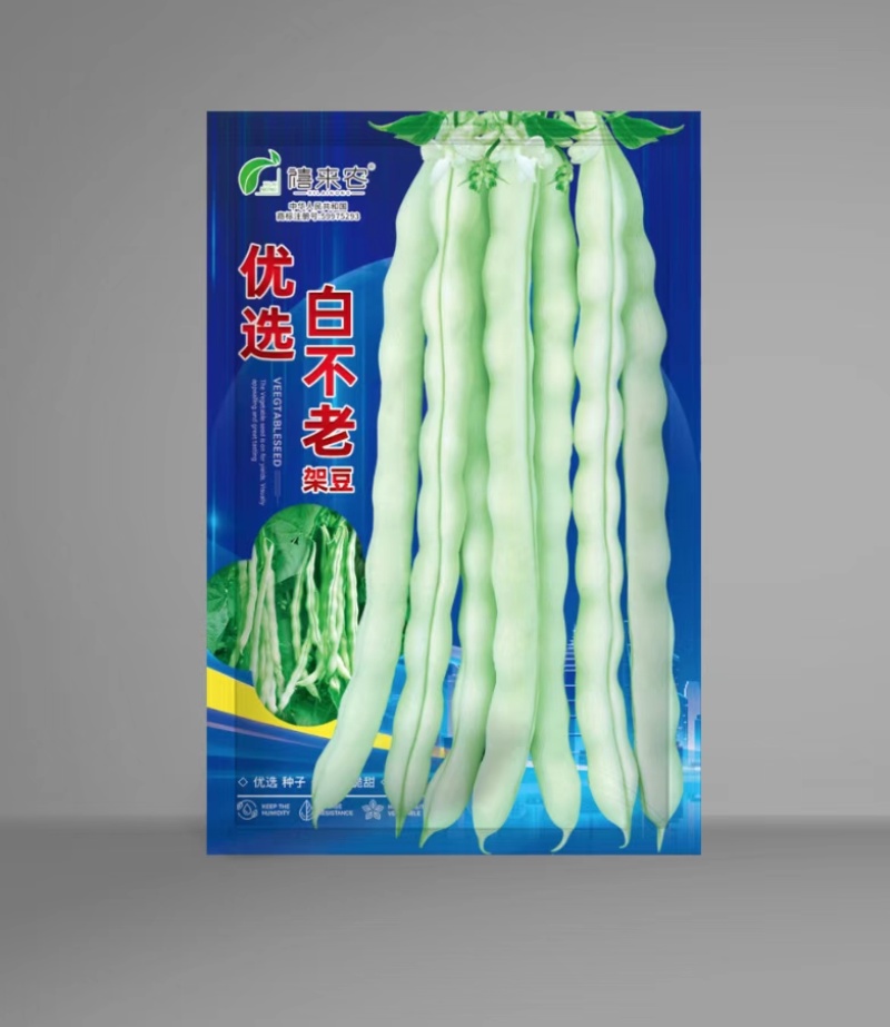 白不老架豆种子早熟蔓生嫩荚白绿色荚长30左右商品性好