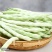 白不老架豆种子早熟蔓生嫩荚白绿色荚长30左右商品性好