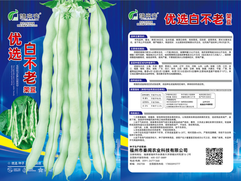 白不老架豆种子早熟蔓生嫩荚白绿色荚长30左右商品性好