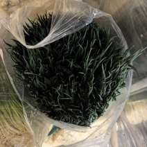 小精品