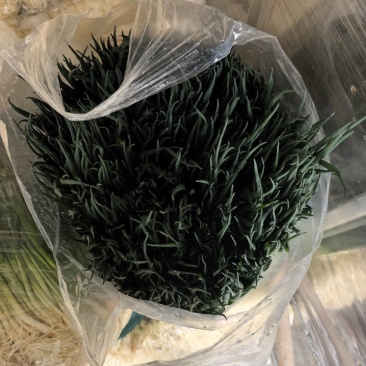 小精品