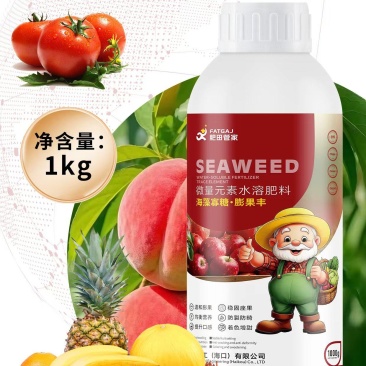 膨果专用-海藻寡糖*膨果丰，上色增甜膨大果实提升口感