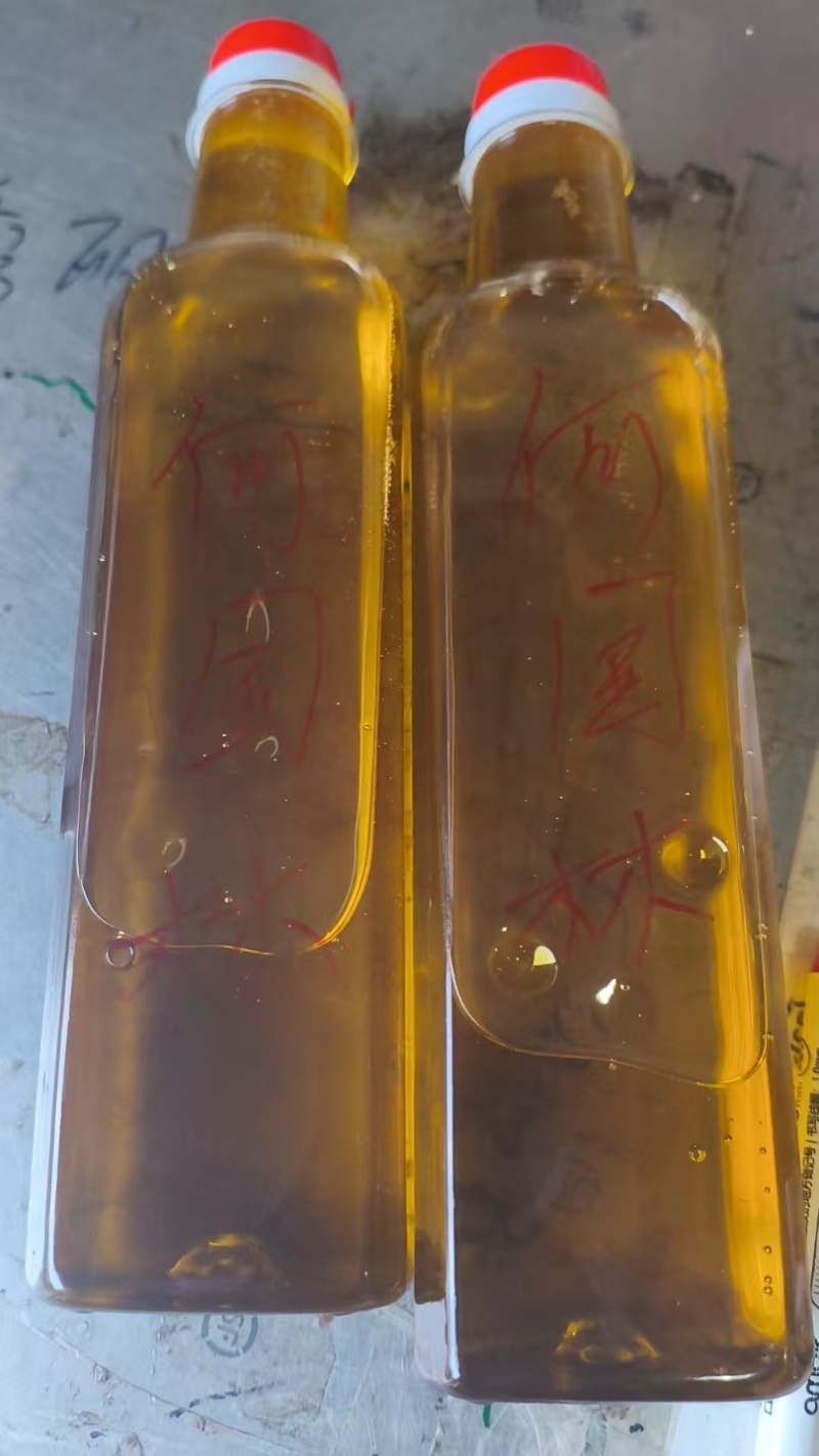 精品茶油一手货源全国发货量大价优欢迎随时联系