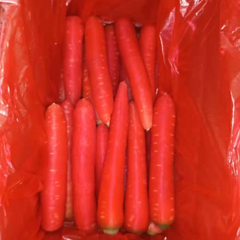 精品秤杆红萝卜小袋红萝卜质量保障线上不发货请致电