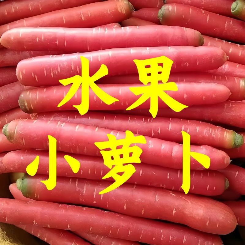 精品秤杆红萝卜小袋红萝卜质量保障线上不发货请致电