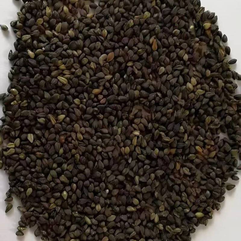 苦荞苦荞麦厂家直供量大从优价格实惠食品加工厂