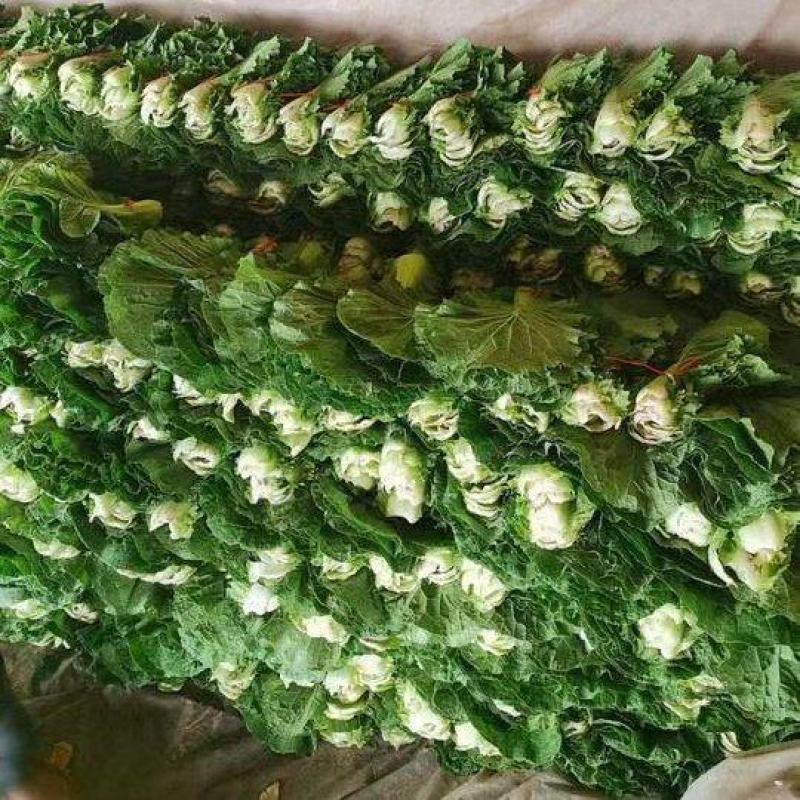 内蒙赤峰白菜叶，工人精挑细选，畅销北京，东北市场，饭包嘎