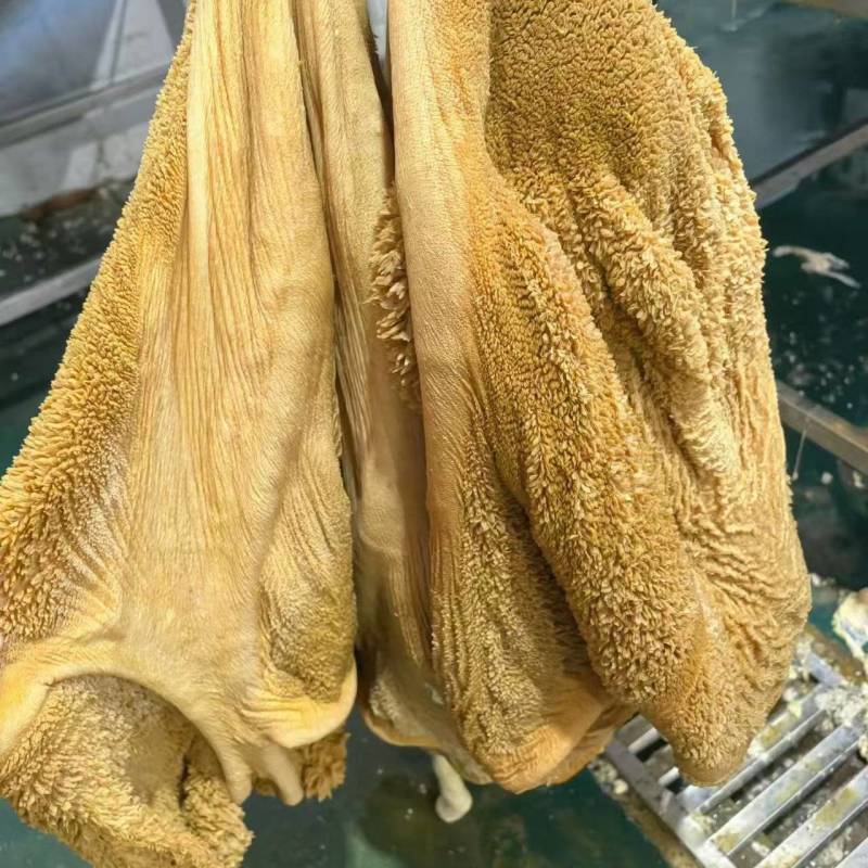 牛毛肚:内蒙草地黄牛的毛肚，生的带金钱肚，质量好出成率高