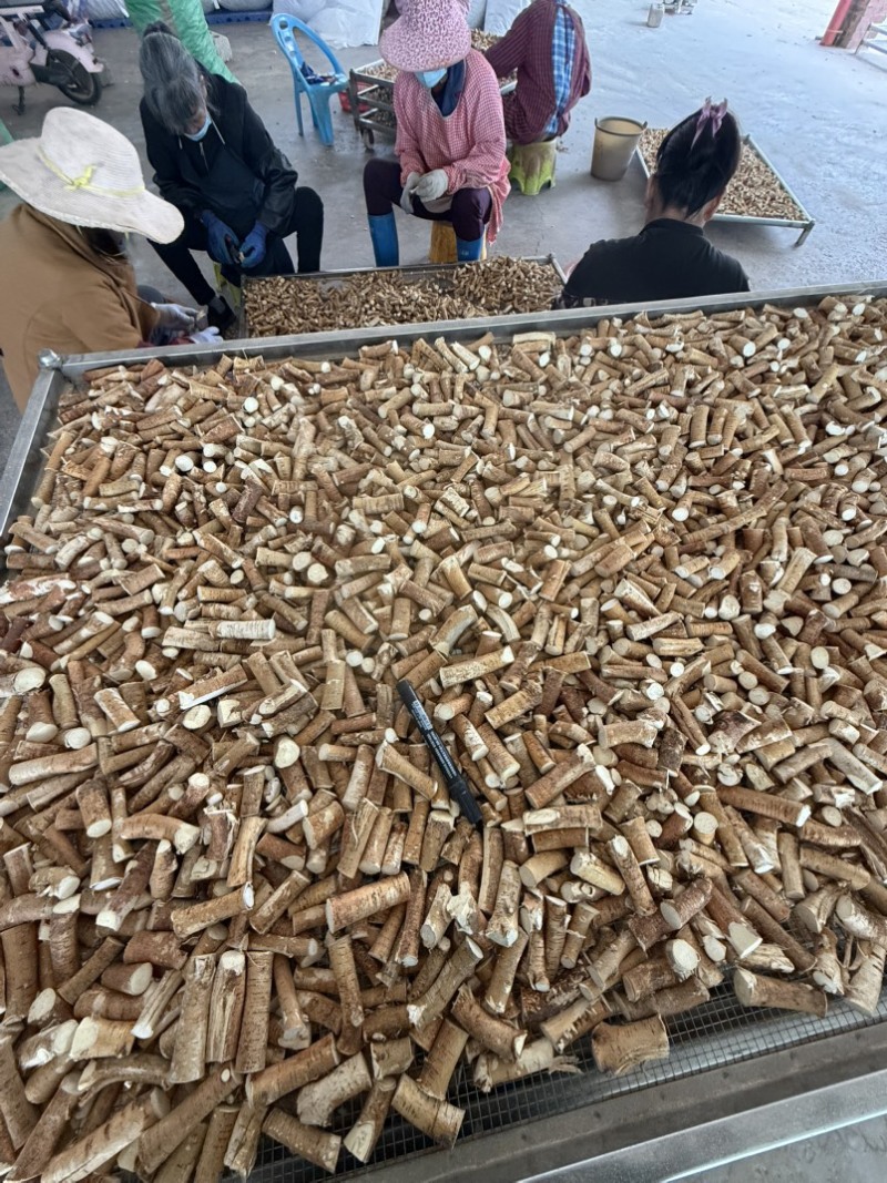 精品五指毛桃中节货源充足产地直发可视频看货