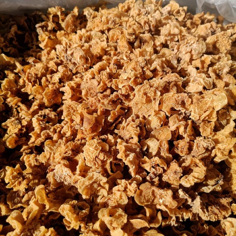 羊肚耳批发零售鹿肚耳沙耳羊肚耳自产自销基地直发羊肚耳精品