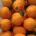 【四川耙耙柑】资中县春见柑桔/对接全网商超档口便宜