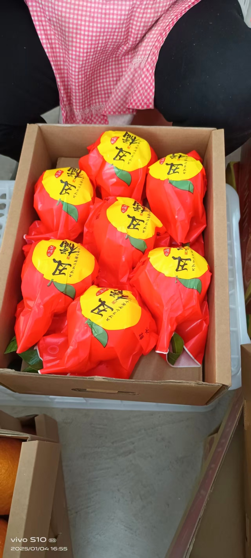 【四川春见柑桔】眉山耙耙柑/春见耙耙柑/电商团购一件代发