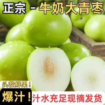 云南大青枣电商一件代发