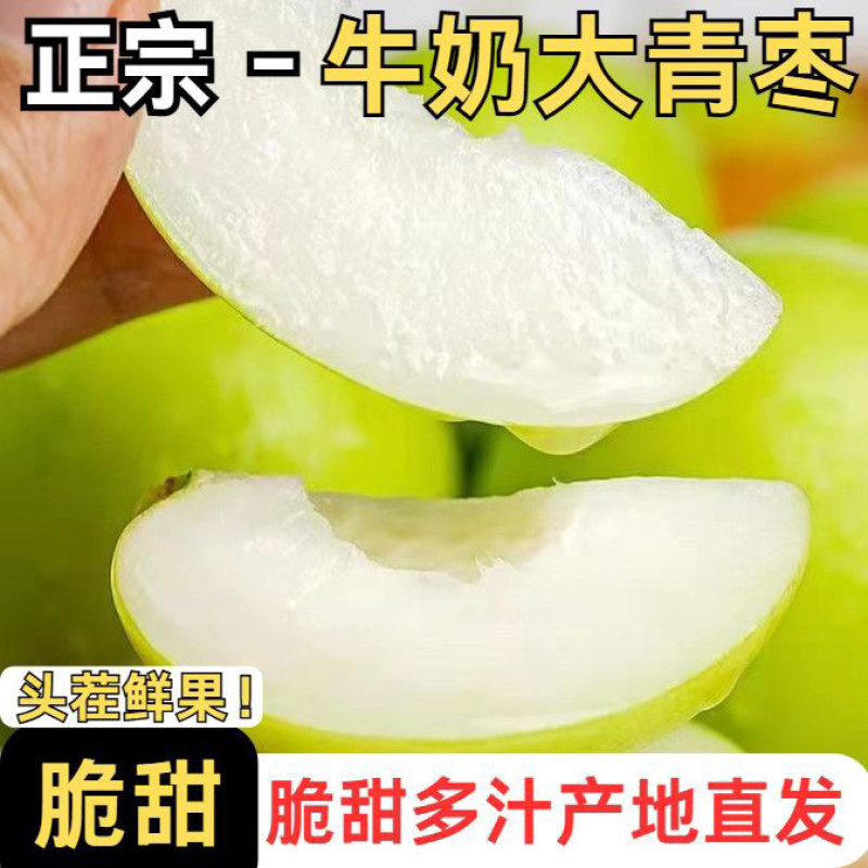 云南大青枣电商一件代发