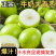 云南大青枣电商一件代发