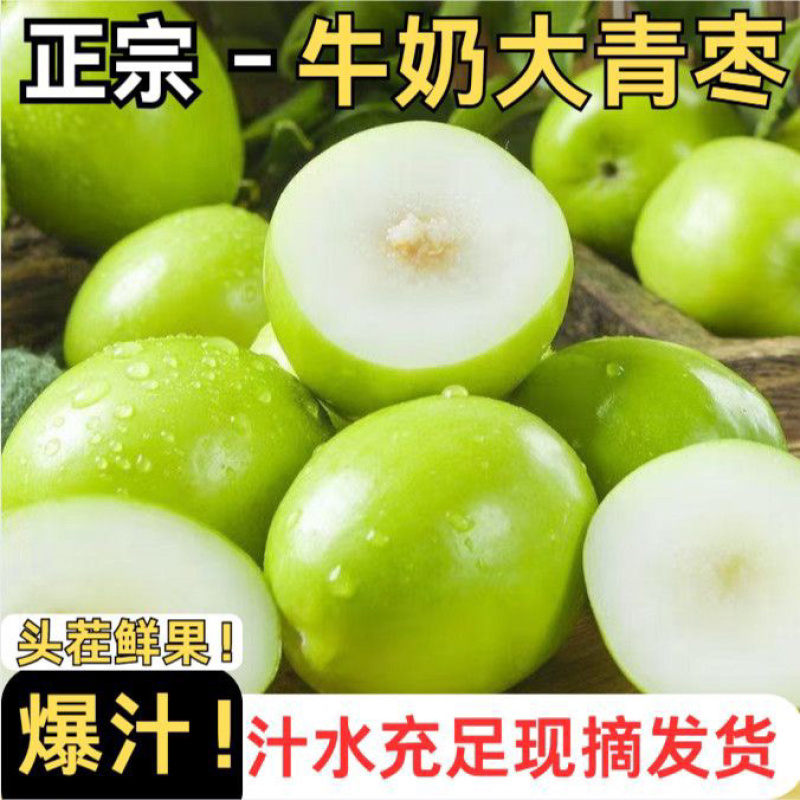 云南大青枣电商一件代发