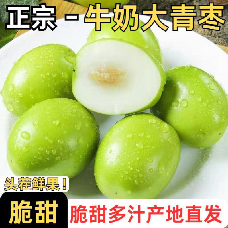 云南大青枣电商一件代发