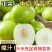 云南大青枣电商一件代发