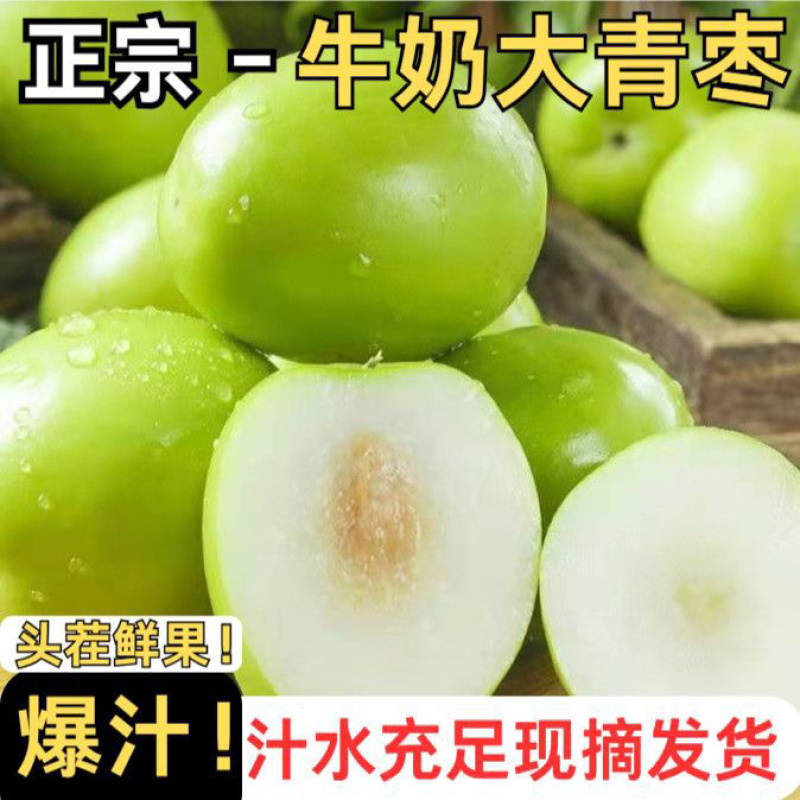 云南大青枣电商一件代发