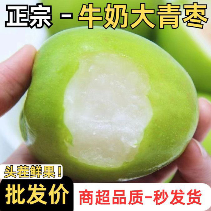 云南大青枣电商一件代发