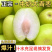 云南大青枣电商一件代发