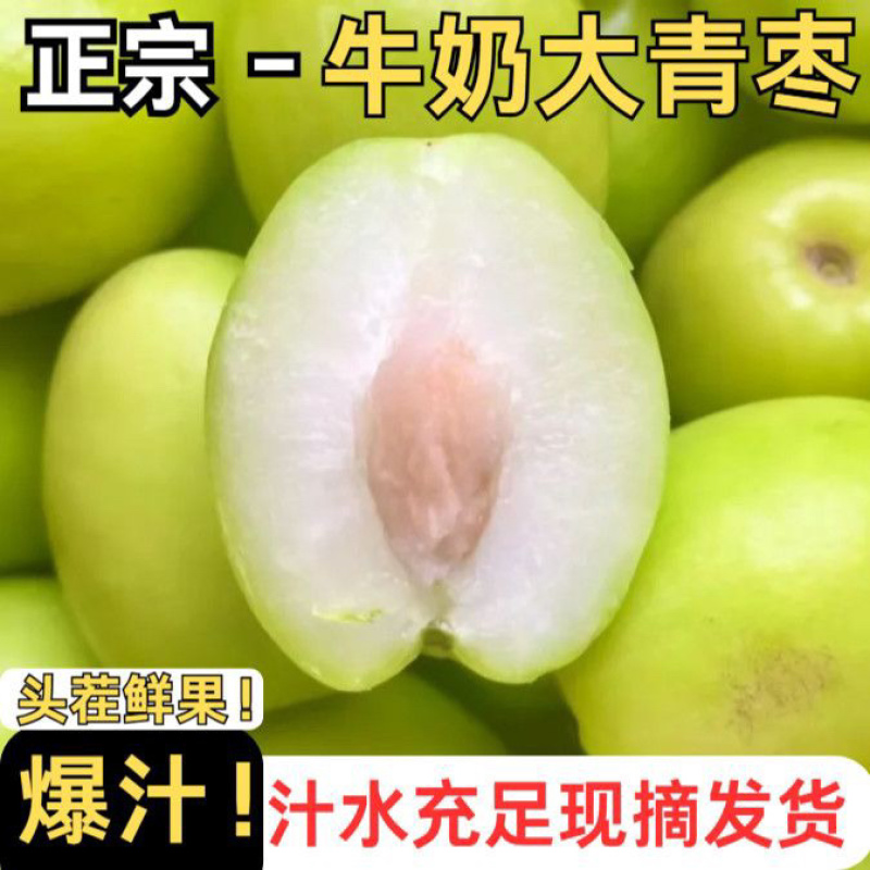 云南大青枣电商一件代发
