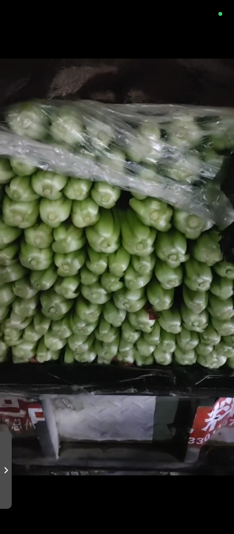 精品小白菜，大量有货