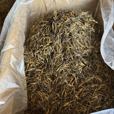 滇红茶批发