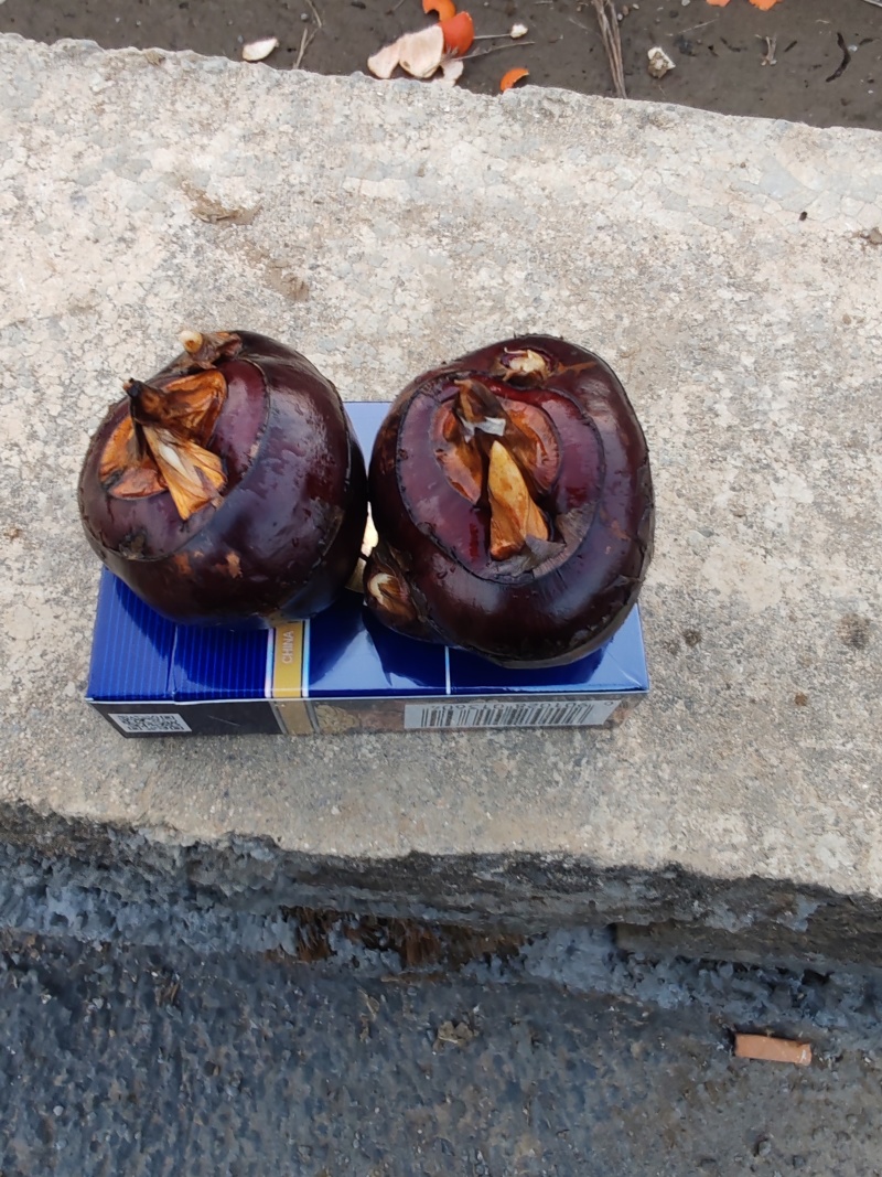 广西荔浦马蹄，清甜化渣，供应电商平台，商超，市场可代发国
