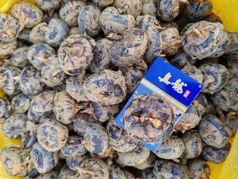 广西荔浦马蹄，清甜化渣，供应电商平台，商超，市场可代发国