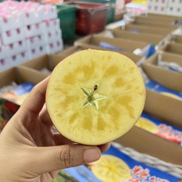 2025季正宗冰糖心丑苹果开始发货高糖心17-20甜度！