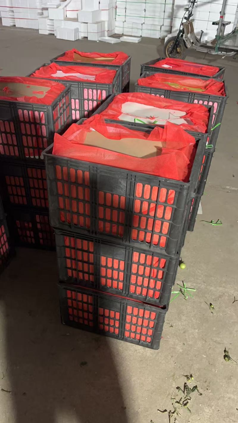 【推荐】江苏口感沙瓤西红柿大量接单供应商超市场食堂