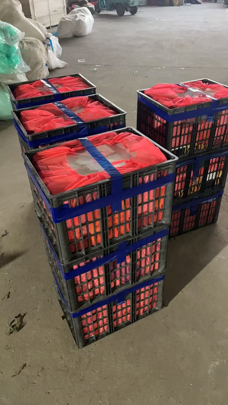 硬粉沙瓤西红柿大量接单代发全国量大从优欢迎来电