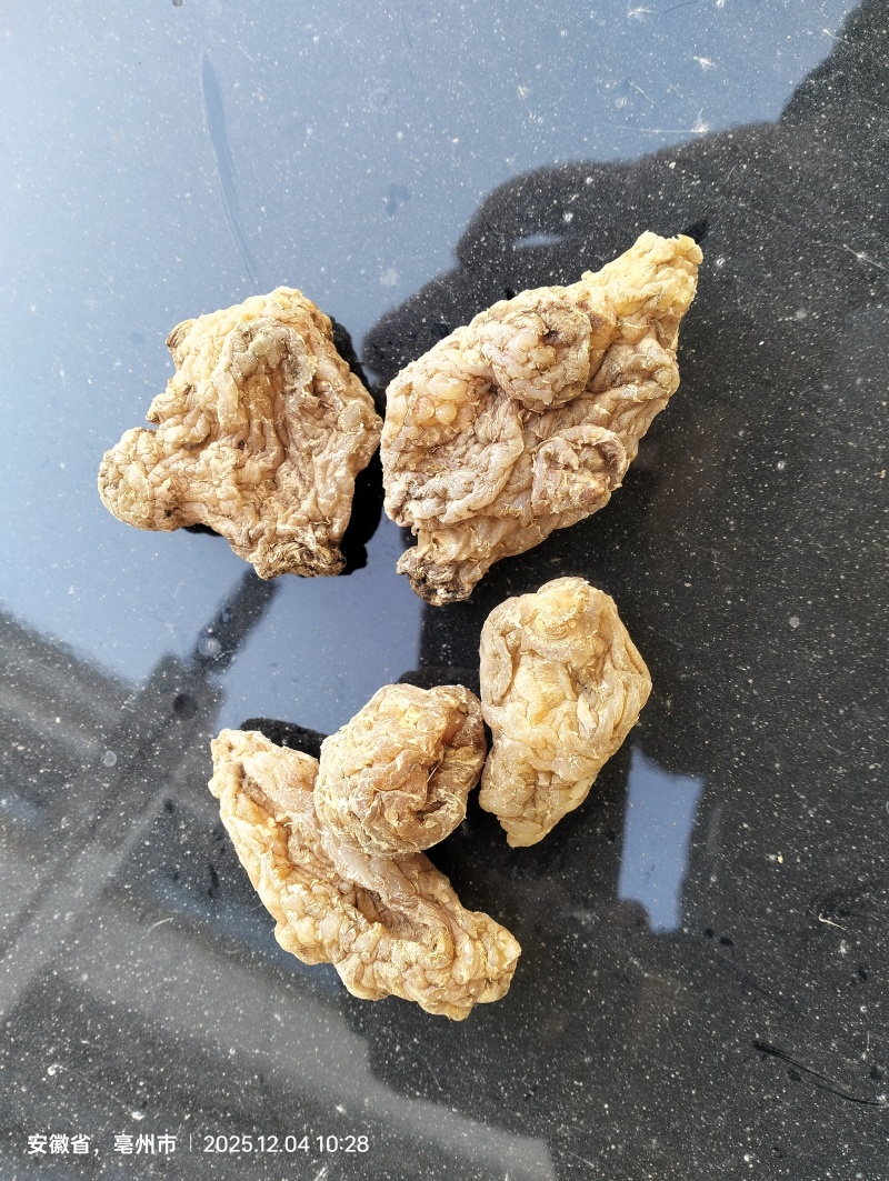 纯干菊芋