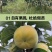 太秋甜柿苗新品种正宗浙江太秋脆柿苗日本大秋树苗假一赔十