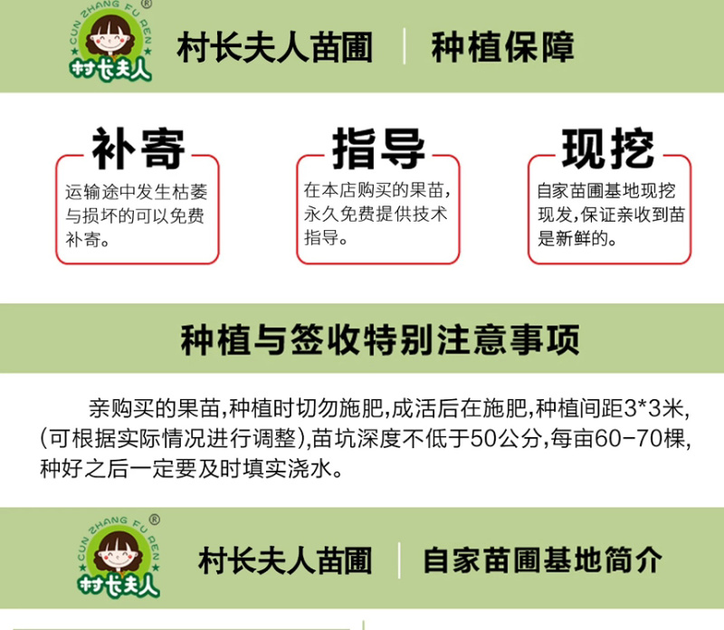 太秋甜柿苗新品种正宗浙江太秋脆柿苗日本大秋树苗假一赔十