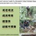 太秋甜柿苗新品种正宗浙江太秋脆柿苗日本大秋树苗假一赔十