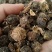 云南特产野生无硫烤干余甘子滇橄榄药食同源土特产农副产品