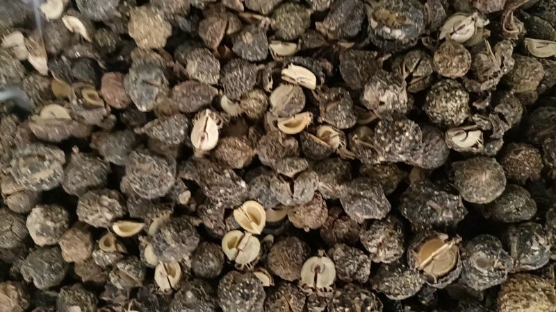 云南特产野生无硫烤干余甘子滇橄榄药食同源土特产农副产品