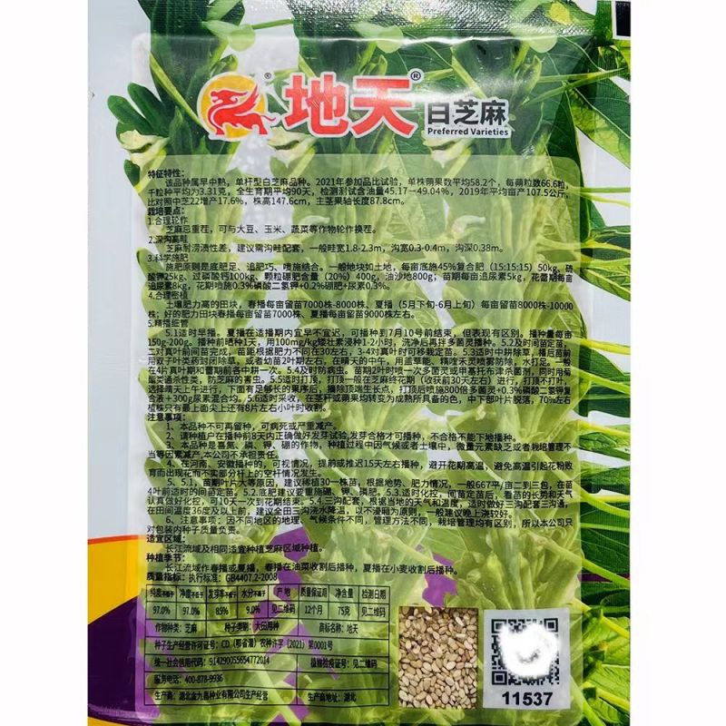 地天白芝麻种高产抗病抗倒伏白芝麻种籽大田基地用芝麻种