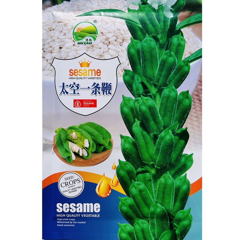 地天白芝麻种高产抗病抗倒伏白芝麻种籽大田基地用芝麻种