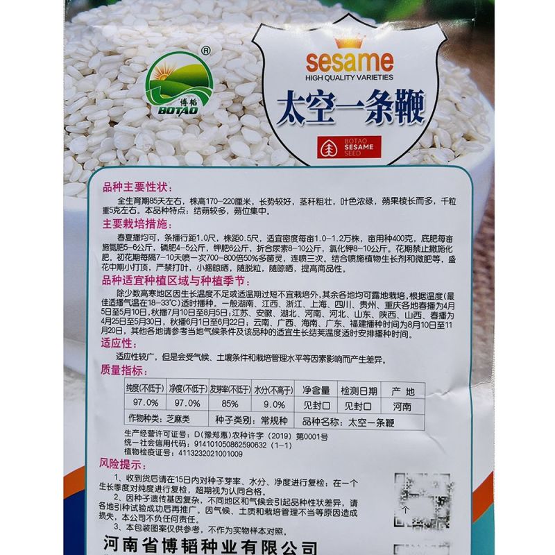 地天白芝麻种高产抗病抗倒伏白芝麻种籽大田基地用芝麻种
