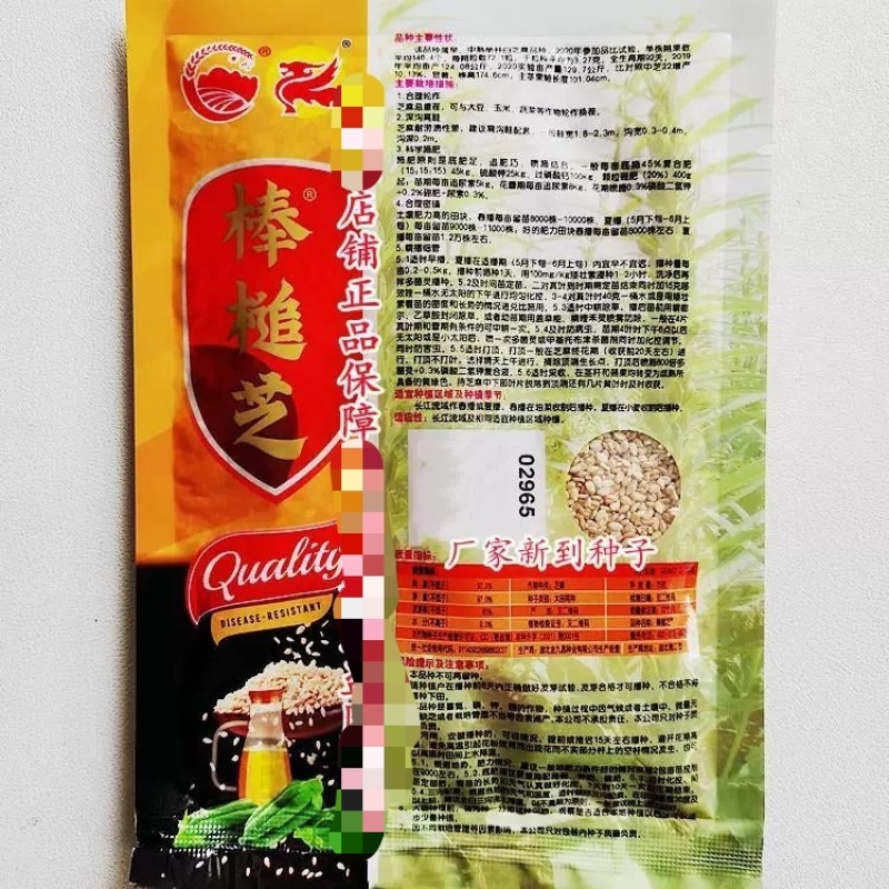 地天白芝麻种高产抗病抗倒伏白芝麻种籽大田基地用芝麻种