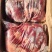 大块驴肉：驴前腿驴肋条驴后腿，手续齐全支持任何检测