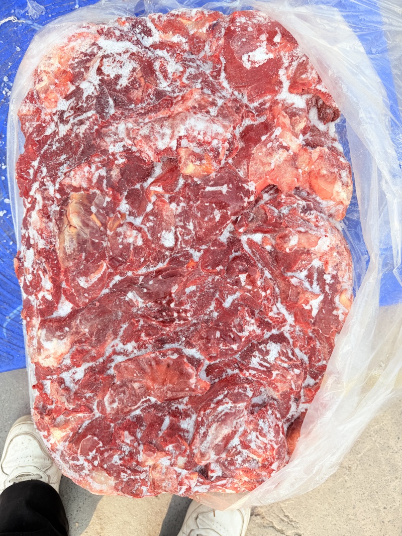 大块驴肉：驴前腿驴肋条驴后腿，手续齐全支持任何检测