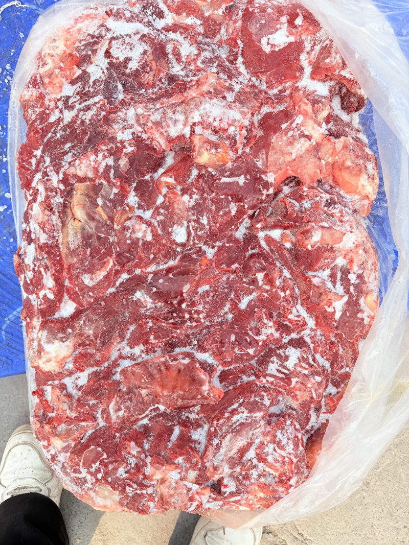 大块驴肉：驴前腿驴肋条驴后腿，手续齐全支持任何检测